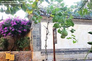 117 - Tuanshan